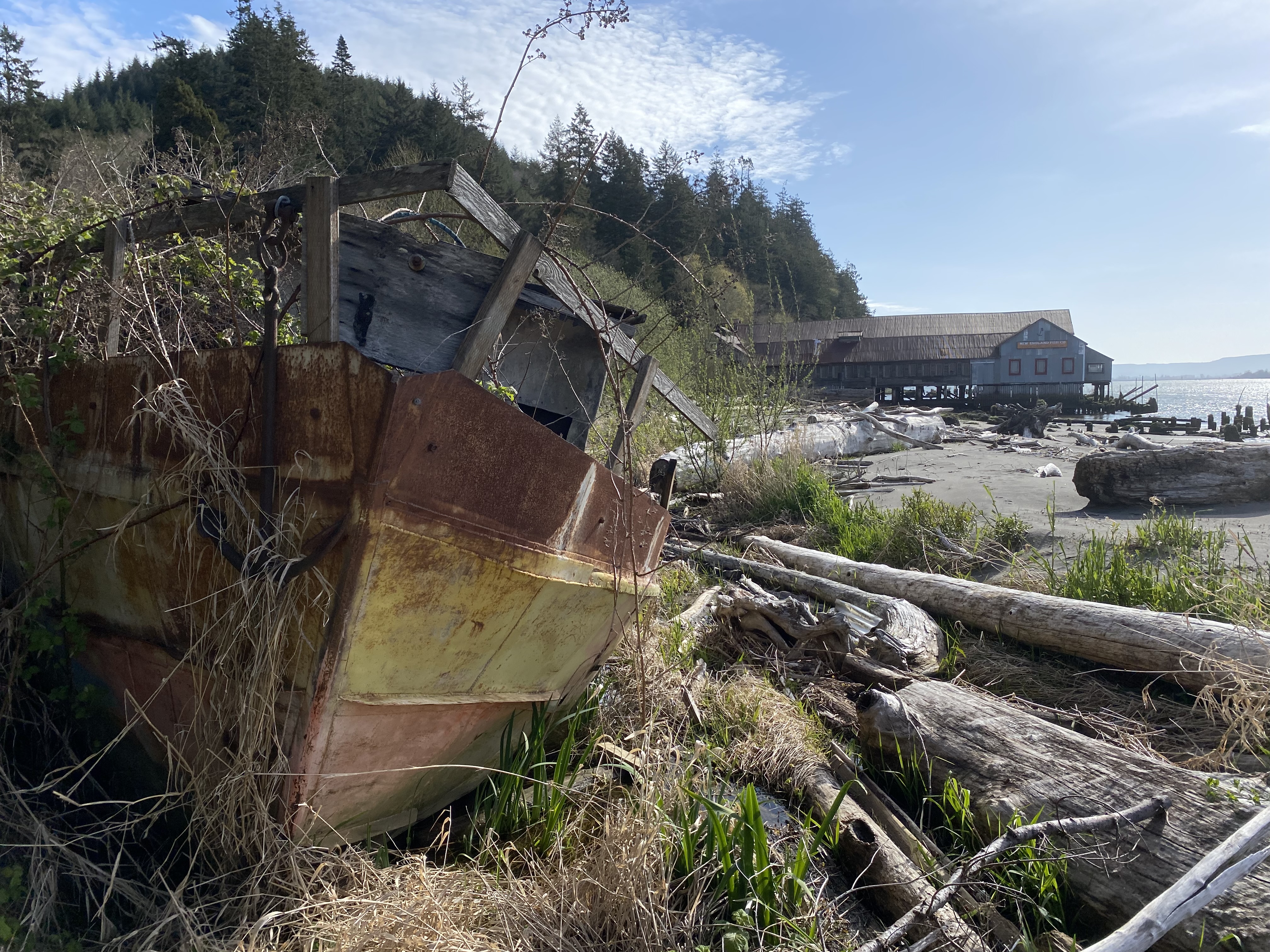 Fishing Rods for sale in Mayger, Oregon